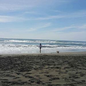 Meet your Posher, Nhu